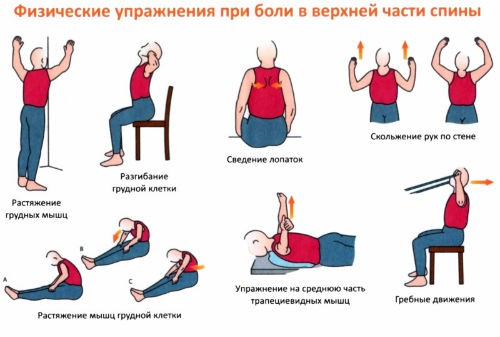 упражнения для спины