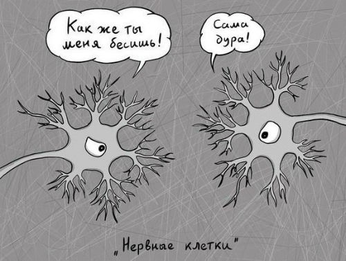 Нервные клетки